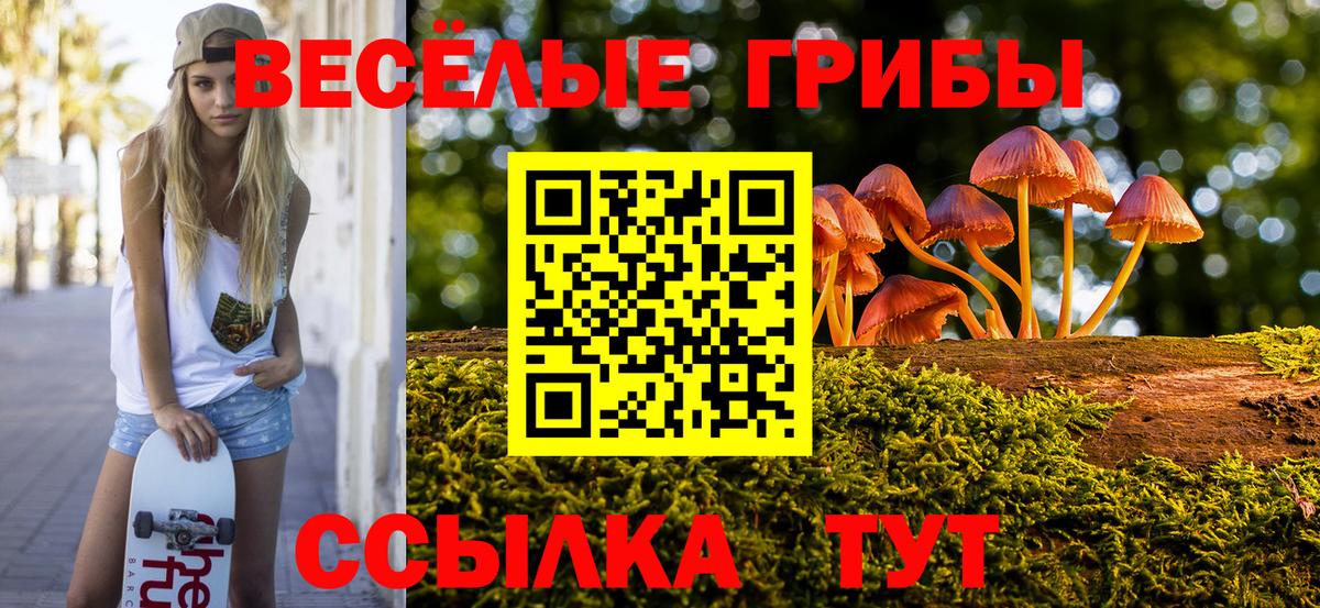 Псилоцибиновые грибы мухоморы Карачаевск