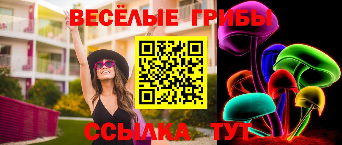 Псилоцибиновые грибы мухоморы  Псилоцибиновые грибы Magic Shrooms  Вход с VPN  Карачаевск 